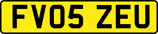 FV05ZEU