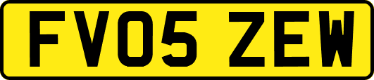 FV05ZEW