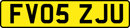 FV05ZJU