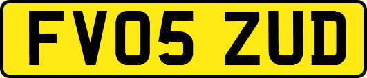 FV05ZUD