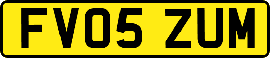 FV05ZUM