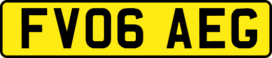 FV06AEG