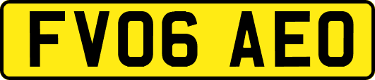 FV06AEO