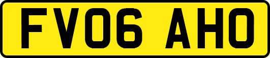 FV06AHO