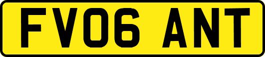 FV06ANT