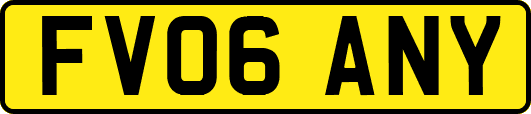 FV06ANY