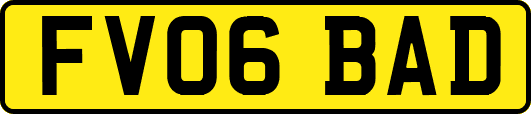 FV06BAD