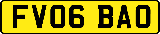 FV06BAO