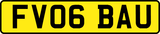 FV06BAU