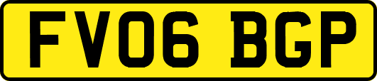 FV06BGP