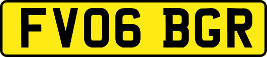 FV06BGR