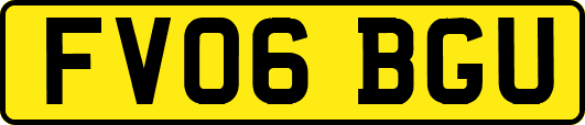 FV06BGU