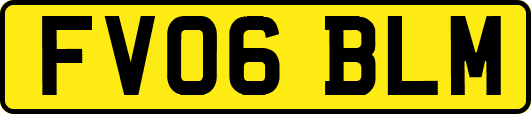 FV06BLM