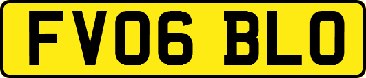 FV06BLO