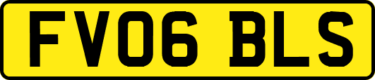 FV06BLS