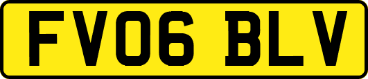 FV06BLV