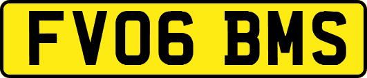 FV06BMS