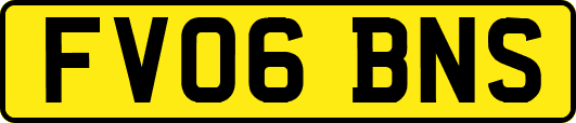 FV06BNS