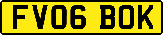 FV06BOK