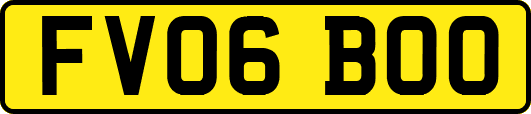 FV06BOO