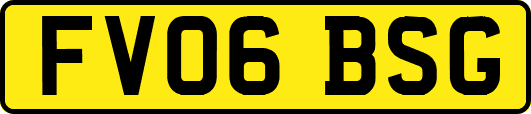 FV06BSG