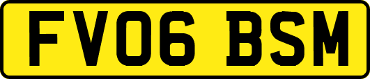 FV06BSM