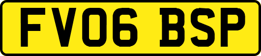 FV06BSP