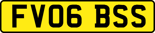 FV06BSS