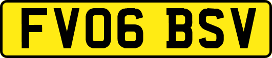FV06BSV