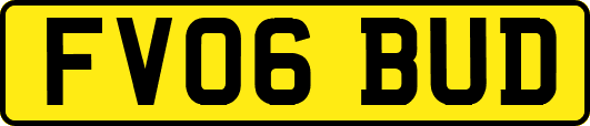 FV06BUD
