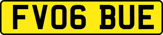 FV06BUE