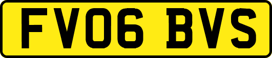 FV06BVS