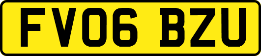FV06BZU