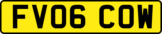 FV06COW