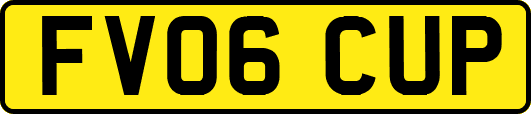 FV06CUP