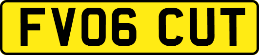 FV06CUT