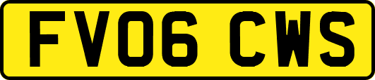 FV06CWS