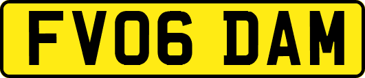 FV06DAM