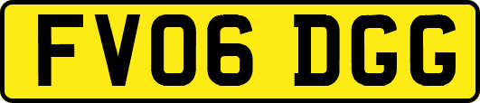 FV06DGG