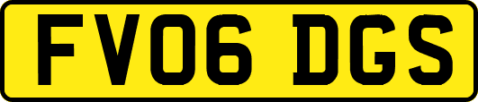 FV06DGS