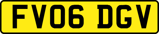 FV06DGV