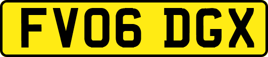 FV06DGX