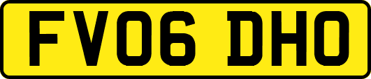 FV06DHO