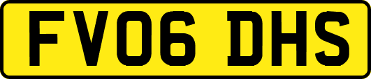 FV06DHS