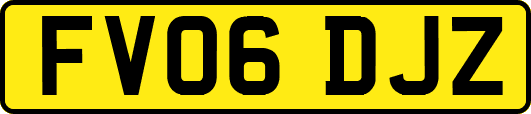 FV06DJZ