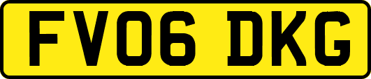 FV06DKG