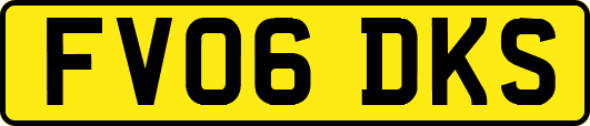 FV06DKS