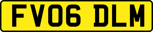 FV06DLM