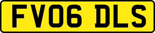 FV06DLS