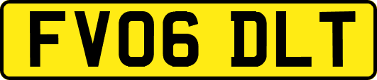 FV06DLT